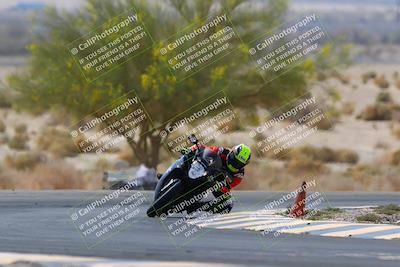 media/Apr-10-2022-SoCal Trackdays (Sun) [[f104b12566]]/Turn 5 Tree of Life (1040am)/